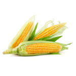 Sweet-Corn